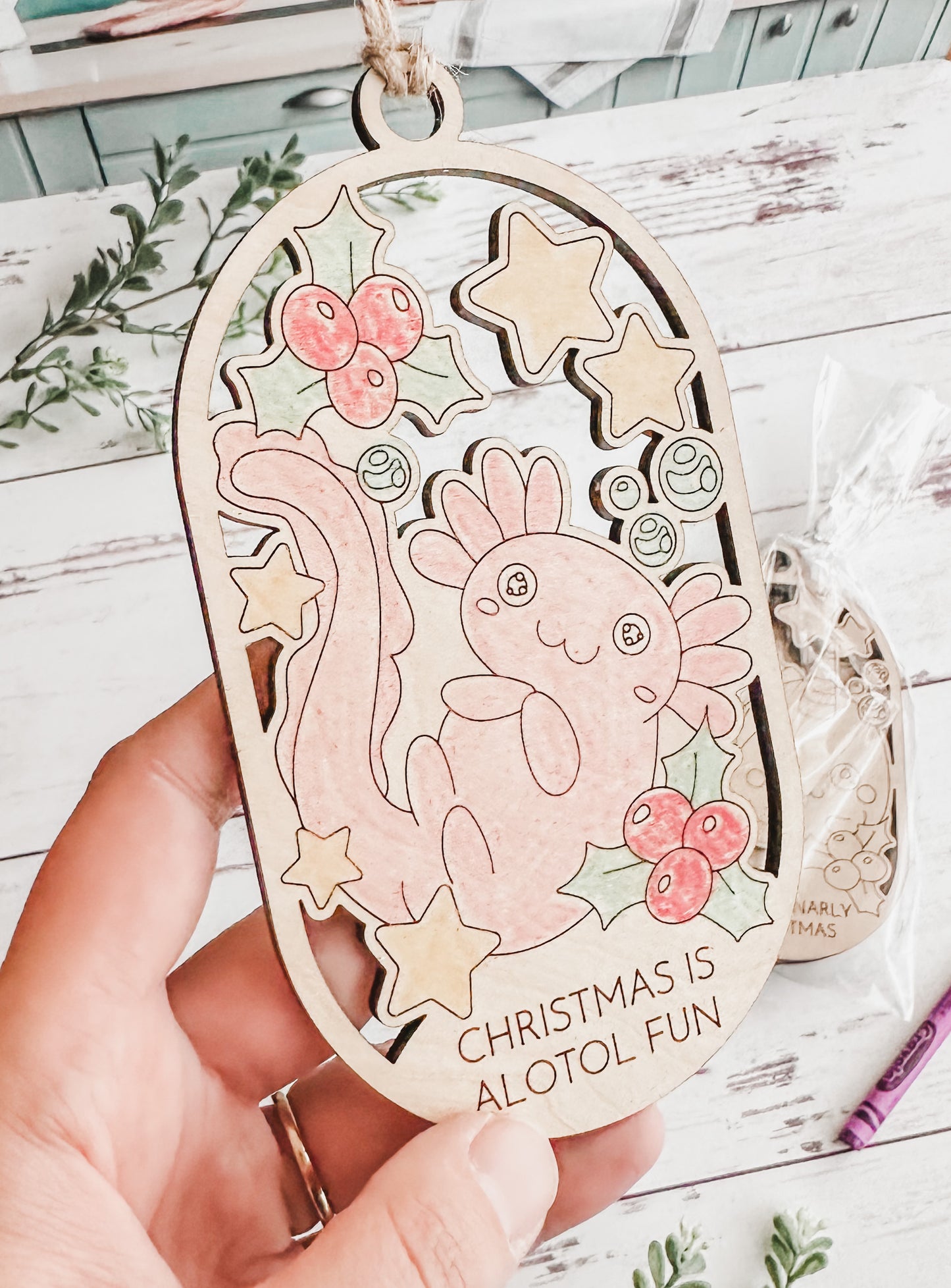 Color Me Ornaments